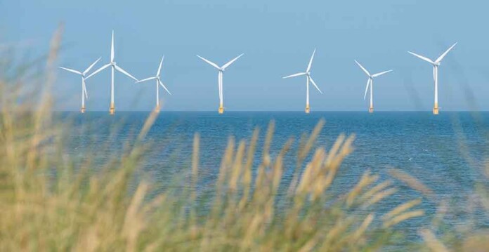 Coastal grass with offshore wind farm in ocean in the distance