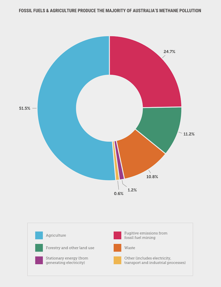 Donut chart illustrating the main sources of methane pollution in Australia